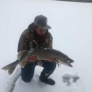 Meet your Posher, Heath